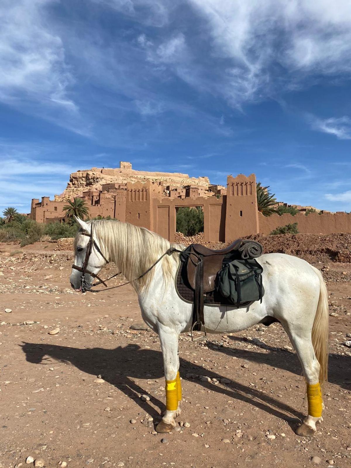 Taman'Art Space Aït Benhaddou Eksteriør bilde